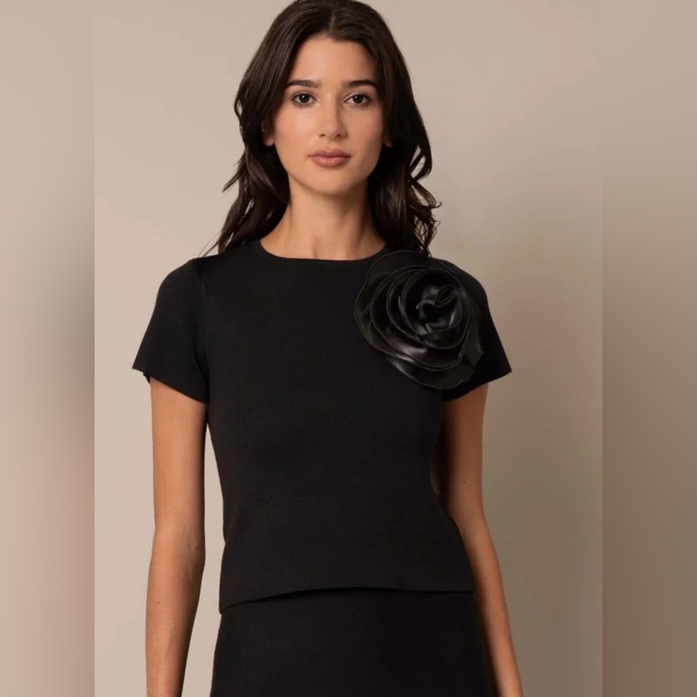 Cyrus Short Sleeve Cropped Sweater